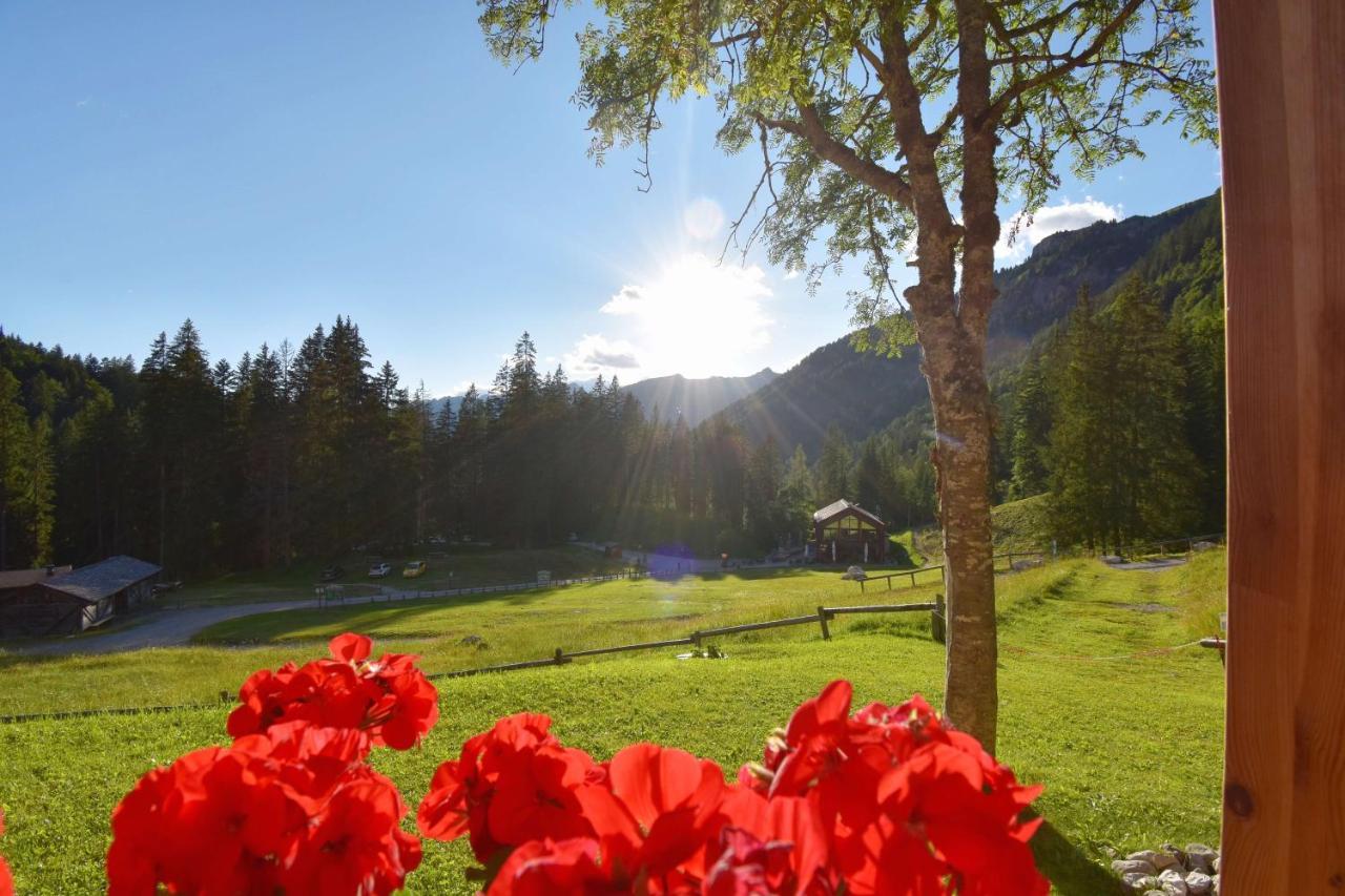 Chalet Brenta Dolomites *