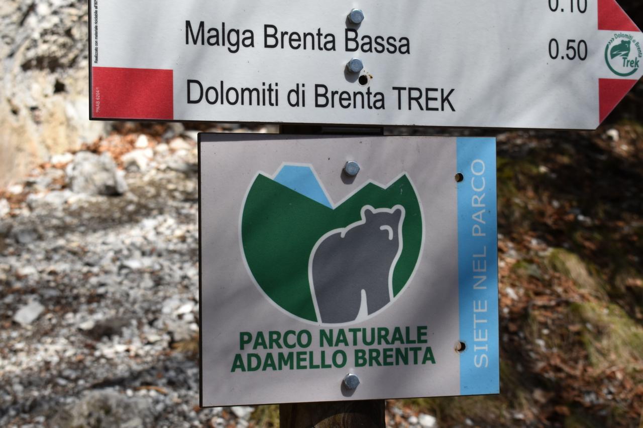 Chalet Brenta Dolomites *
