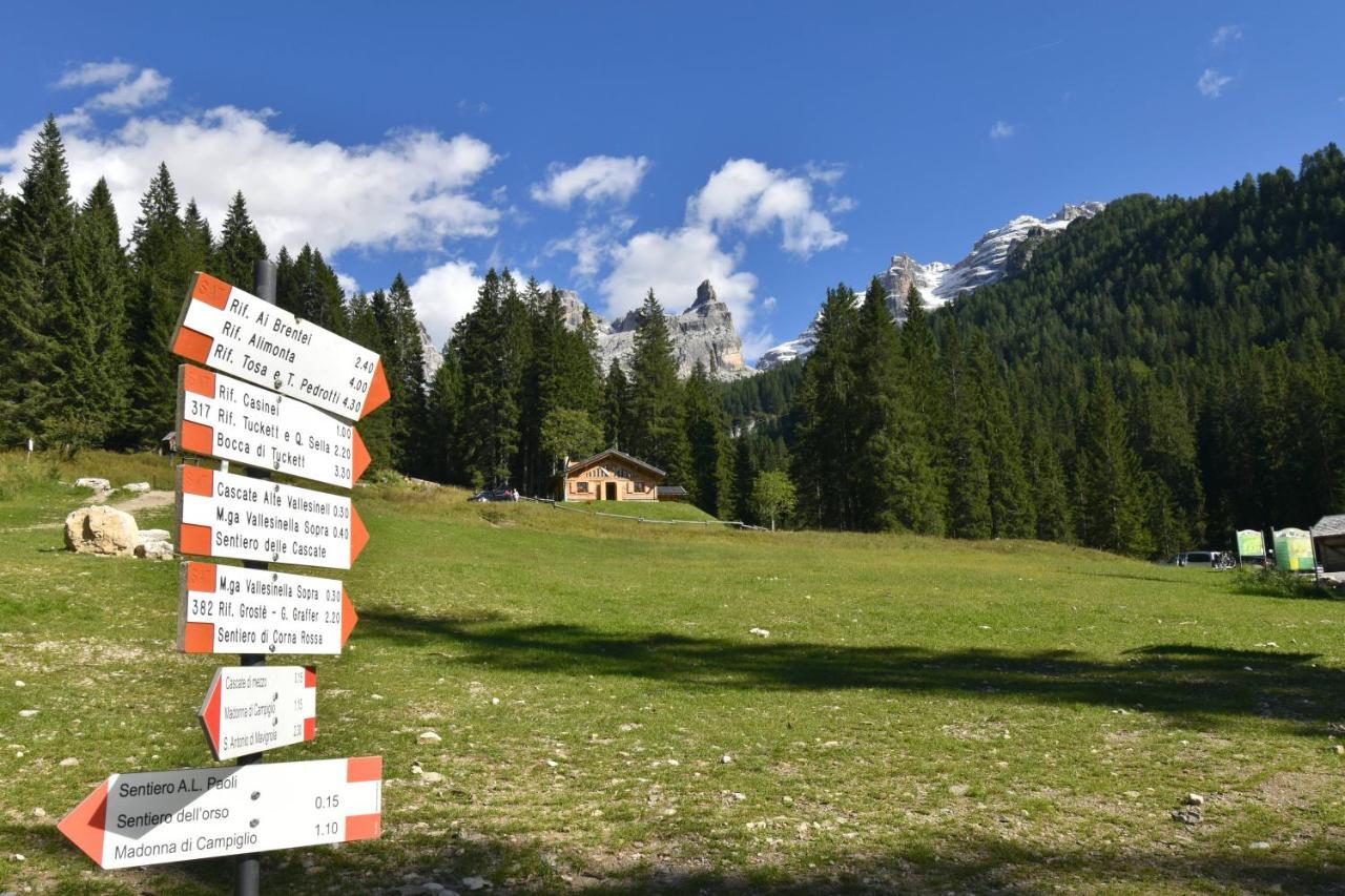 Chalet Brenta Dolomites *
